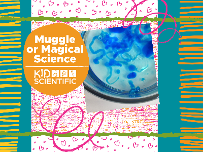 Muggle or Magical Science Workshop (4-10 Years)